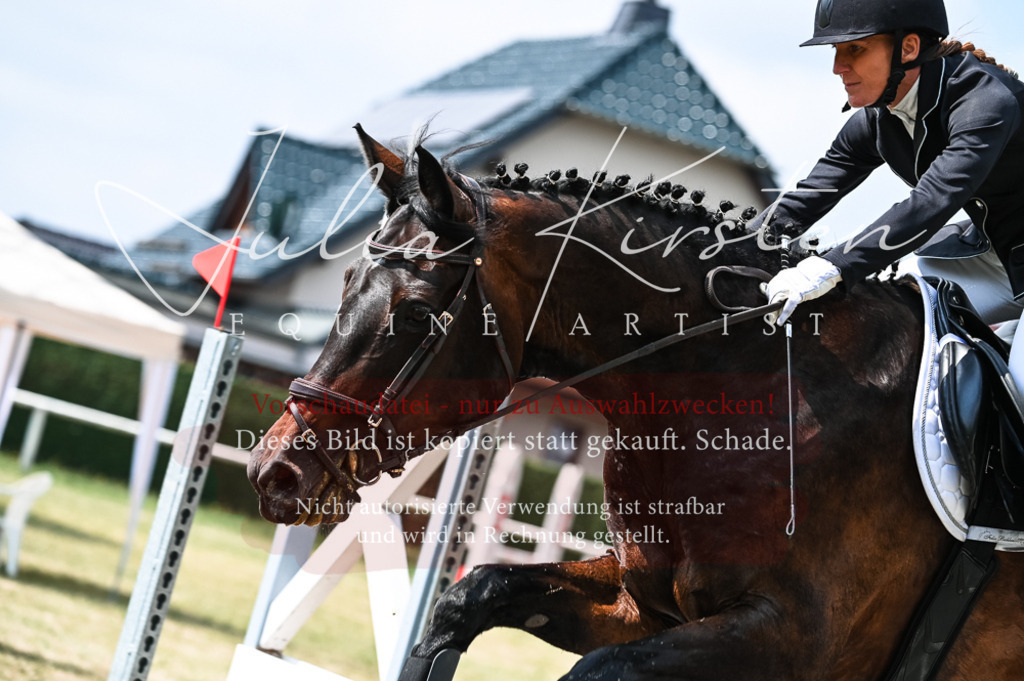 DSC_8891 | Pferde- und Turnierfotografie in Westsachsen. Pferdeportraits, Auftragszeichnungen und intuitive Kunst.