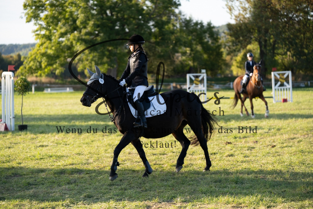 A7V04773 | Pferdefotograf