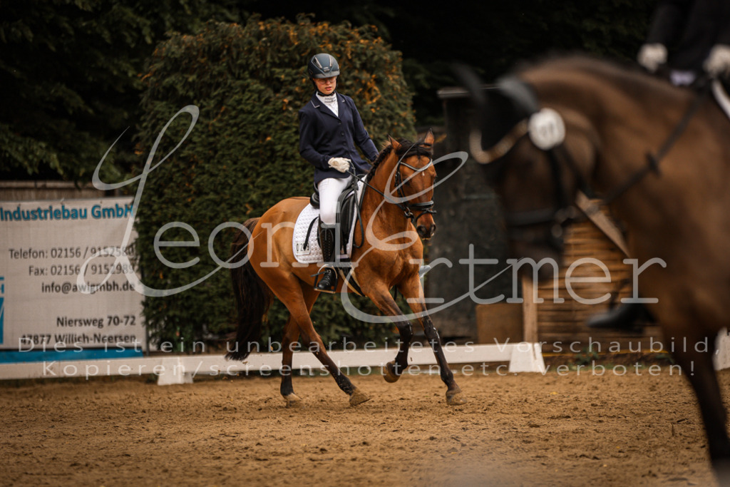 DoDrE00367 | Leoni Ertmer Photography - Realisiert mit Pictrs.com