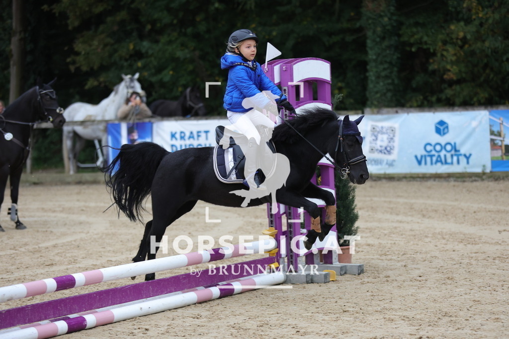 0P6A4690 | Willkommen bei Brunnmayr - Design & Fotografie – Ihrem Spezialisten für Reitturniere und Pferdeveranstaltungen in Oberösterreich, Salzburg und Bayern! Seit über 17 Jahren sind wir leidenschaftlich dabei.