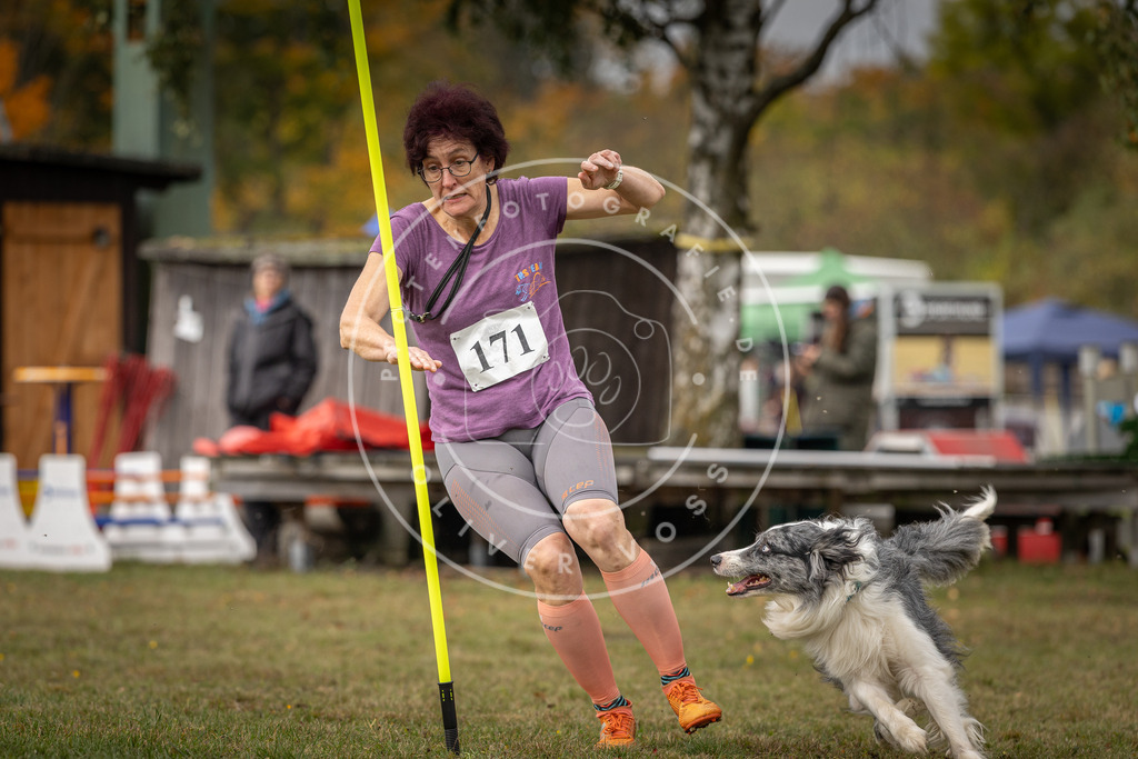 Pfotenfotografie_DV3A5617 | Hundefotografie, Tierfotograf, Pfotenfotografie, Fotoshooting Hund, Hunde Portrait, Hundesport, Hundeportraits, Heideshooting, Hunde, Sportfotograf, Hundefotograf, Turnierhundsport, THS,  - Realisiert mit Pictrs.com
