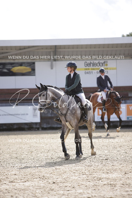 1J2A3072Peppi Pakarinen_ Carmen RD_ Kn121_ Havekost | Foto- und Videografie für alles rund ums Pferd. Hochwertige Bilder und Videos vom Spring- und Dressurreiten, Voltigieren & mehr. Jetzt aktuelle Veranstaltungen und Preise im Shop ansehen. - Realisiert mit Pictrs.com
