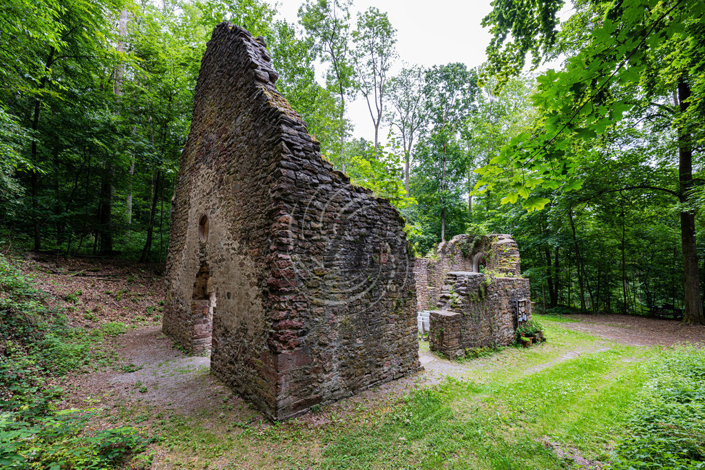 Kapelle zu unserer lieben Frau im Walde,  Katharinenkapelle im Tal, | Im Wald zwischen Hardheim und Dornberg liegt inmitten hoher Buchen- und Ahornbäumen die Kappelruine. Sie wurde zu Anfang des 15. Jahrhunderts von den Herren zu Hardheim gestiftet und hieß ursprünglich "Kapelle zu unserer lieben Frau im Walde", später 'Katharinenkapelle im Tal'. Der letzte Gottesdienst fand 1557 statt.

In der Nähe der Kapelle lag eine Einsiedelei. 1768 ließ man den Eremiten entfernen und das Kirchlein, das lange Zeit als Wallfahrtsstätte gedient hatte, zerfiel zusehends.
Unweit des Dorfs befindet sich im Laubwald die Ruine der „Kappel“, einer ehemaligen Einsiedelei-Kapelle „zu unserer lieben Frau im Walde“. ♁⊙ Diese wurde Anfang des 15. Jahrhunderts von den Junkern von Hardheim erbaut und später zusätzlich der Heiligen Katharina geweiht; daher auch ihr späterer Name „Katharinenkapelle im Tale“. Die erstmalige urkundliche Erwähnung findet sich in einer Urkunde aus dem Jahr 1418, in der Heinrich von Riedern der Kapelle Abgaben zuweist. In der Kapelle fanden Samstagsmessen für die Dornberger statt, die ein Hardheimer Pfarrer bis 1557 abhielt, bis ein Priestermangel dazu führte, dass ein Höpfinger Pfarrer dieses Amt übernahm. Während der Reformation verbreitete der Höpfinger Pfarrer, welcher protestantisch war, hier auch die Lehre Luthers. Während der Gegenreformation wurde die Kapelle zum Ziel von Wallfahrern aus Hundheim, Hardheim und Höpfingen. Am 1. Januar 1791 erteilte der Bischof von Würzburg, Franz Ludwig von Erthal, die Erlaubnis, die Kapelle zu „demolieren“. Das Dach wurde abgetragen, um so das Bauwerk dem Verfall preiszugegeben. Die mehr als mannshohen Außenmauern sind verblieben. Seit den 1960er Jahren finden dort wieder eine Marienverehrung und gelegentliche Gottesdienste statt. Der Brunnen der ehemaligen Einsiedelei wurde 1986 freigelegt.  - Realized with Pictrs.com