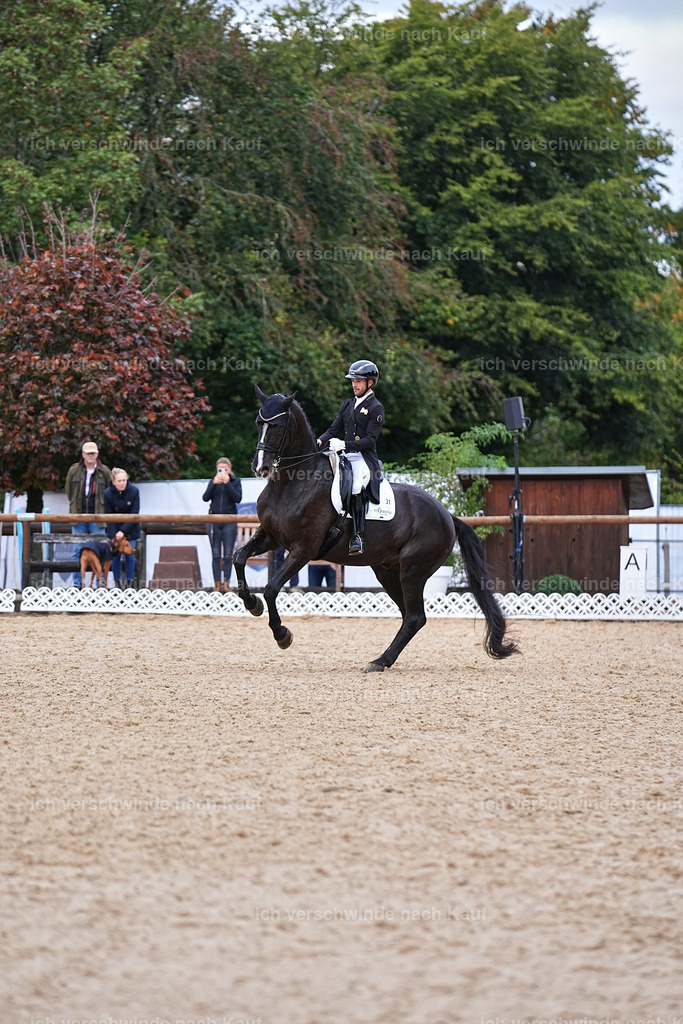 12-031-DRESSUR  S___  -Marixx-5228 | working equitationturnier fotograf videograf stoibphotography marixx film working equitation deutschland reitsport turnierfotografie eventfotografie equestrian events