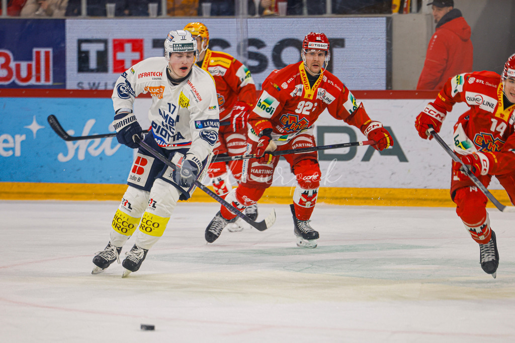 EHCB vs HCAP 20260115_wb-4112 | Sportbilder, Sportfotograf, Hochzeits- und Eventfotografin, Flugshows, Portraits und Tiershooting, Aviation, Downhill, Nationalleague, Swissleague, International