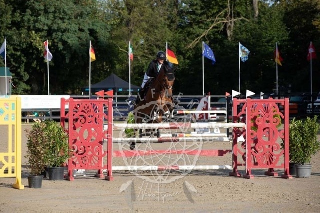 2B4A1003 | pixelfaenger - Realisiert mit Pictrs.com