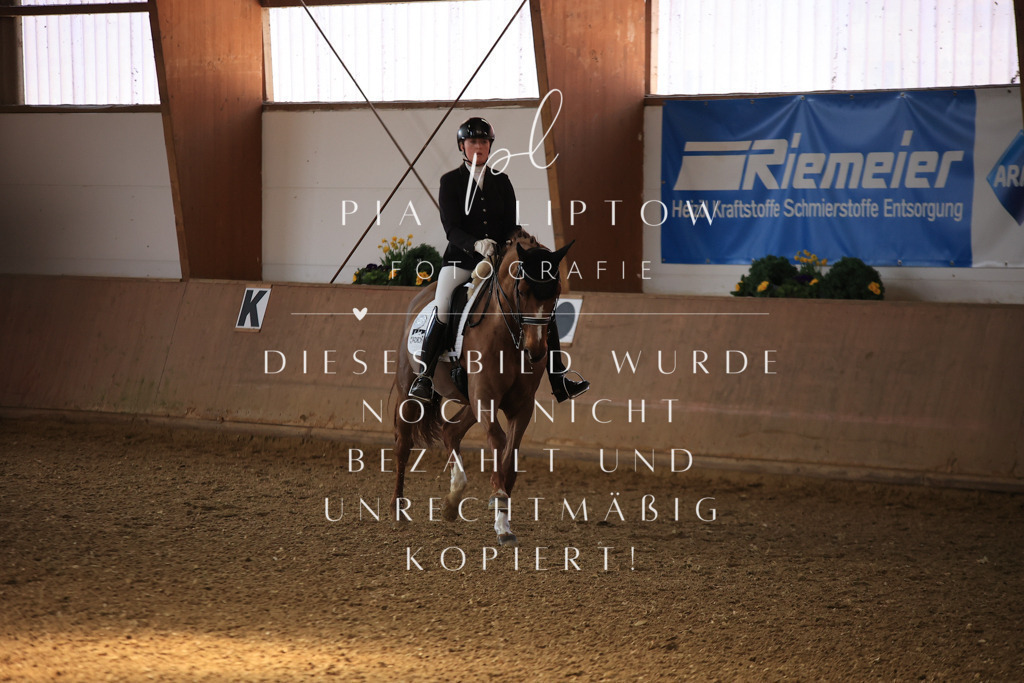 IMGT2841 | pl-fotografie