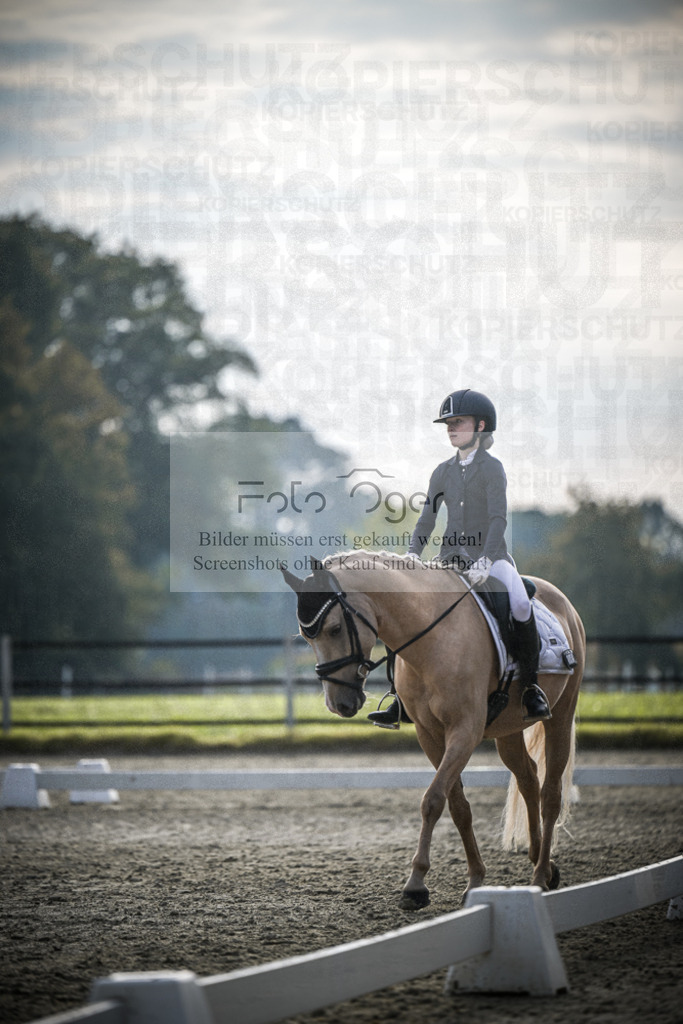 DOS_4702 | Entdecke hochwertige Reitturnierfotos von Foto Oger. Professionell, emotional und authentisch – jetzt Lieblingsmomente im Shop bestellen.Deutschlandweite Turnierfotografie. - Realisiert mit Pictrs.com