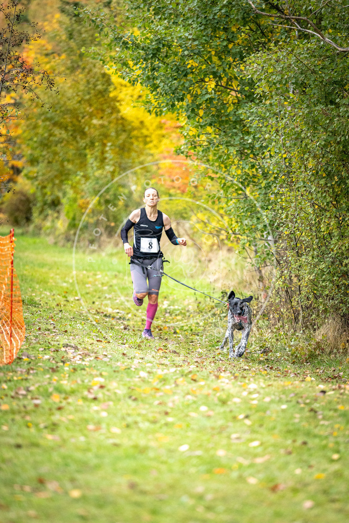 Pfotenfotografie_DV3A1743 | Hundefotografie, Tierfotograf, Pfotenfotografie, Fotoshooting Hund, Hunde Portrait, Hundesport, Hundeportraits, Heideshooting, Hunde, Sportfotograf, Hundefotograf, Turnierhundsport, THS,  - Realisiert mit Pictrs.com