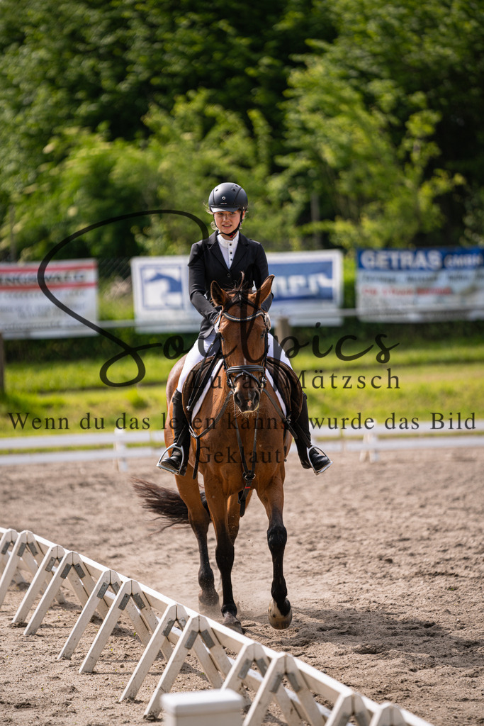 A7V02594 | Pferdefotograf