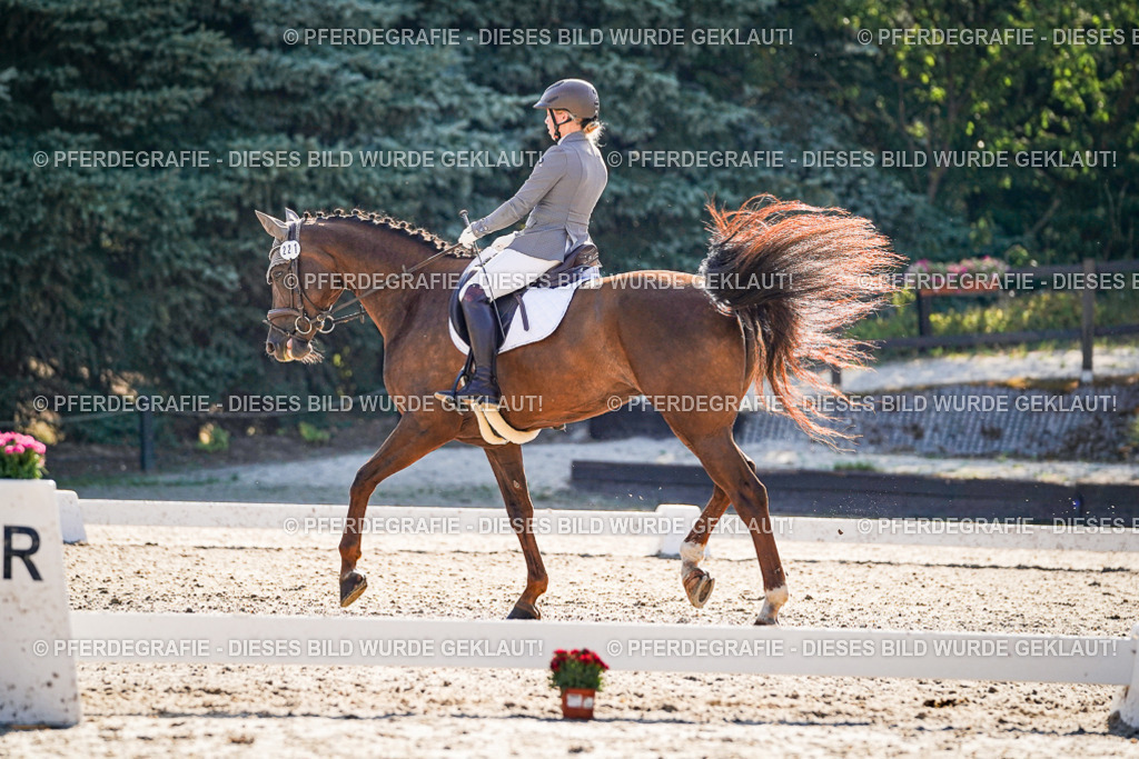 DSC09823 | Pferdegrafie