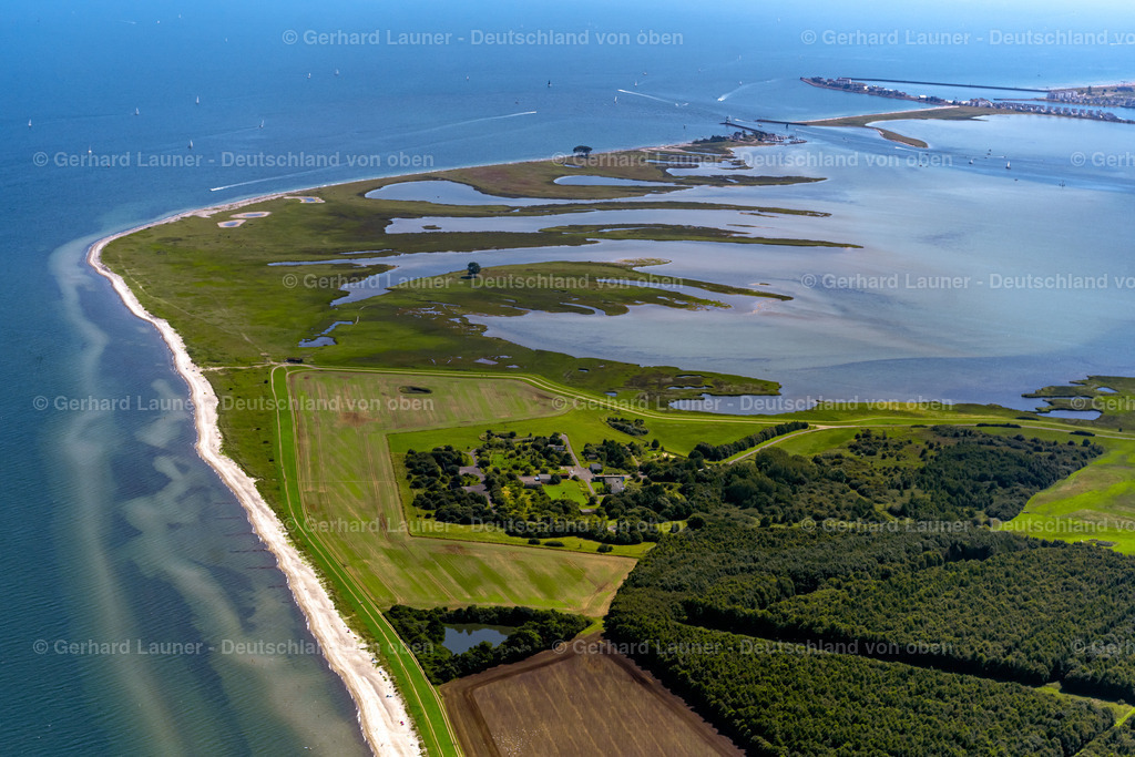 4037727 | Vogelfreistätte Oehe-Schleimünde, Maasholm