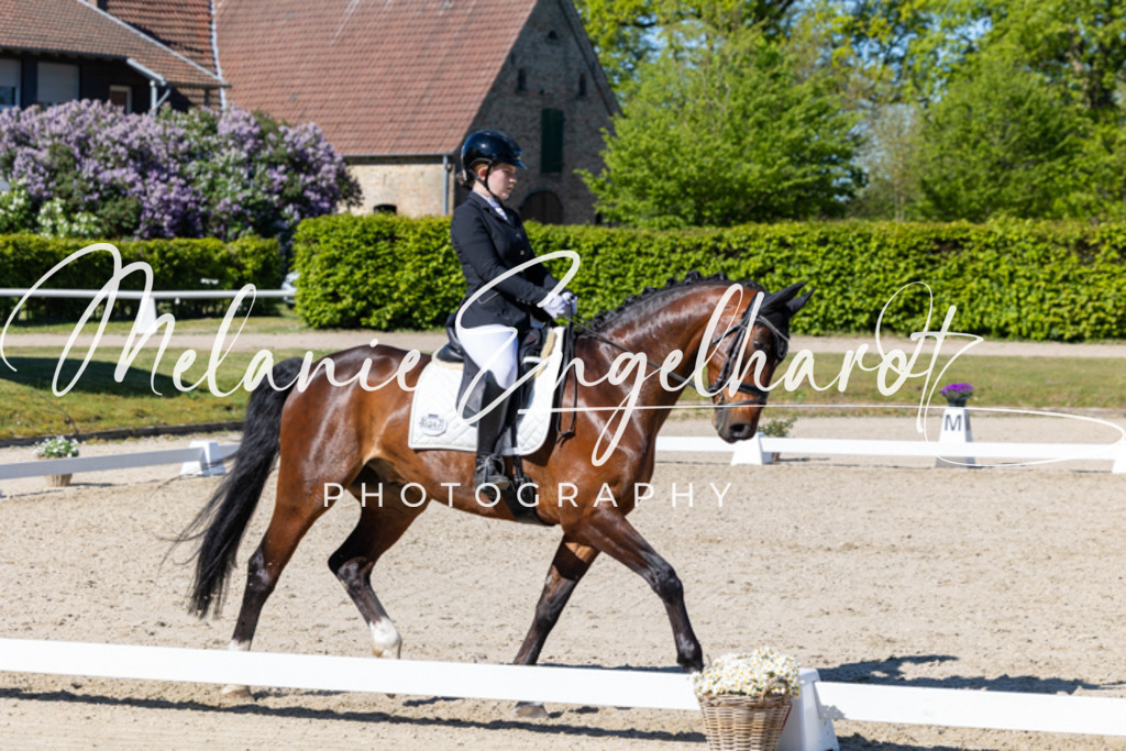 7I8A9475 | melanie-engelhardt-photography - Realisiert mit Pictrs.com