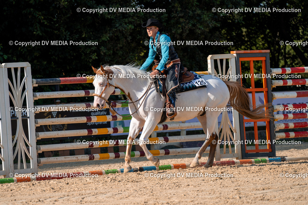 ZH100820 | dv-media-shop - Realisiert mit Pictrs.com