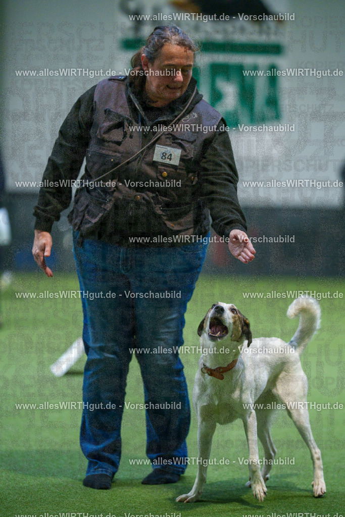 7R503326 | Professionelle Tierfotografie in Mönchengladbach von Daniel Wirth (allesWIRTHgut). Liebevolle & natürliche Bilder von Hunden & Katzen für unvergessliche Erinnerungen.