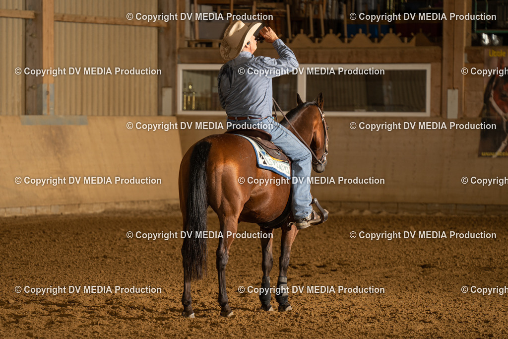 LAU00100 | dv-media-shop - Realisiert mit Pictrs.com