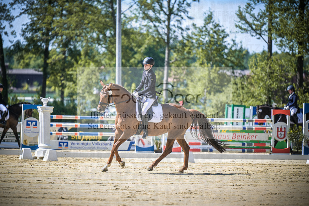DOS_0297 | Entdecke hochwertige Reitturnierfotos von Foto Oger. Professionell, emotional und authentisch – jetzt Lieblingsmomente im Shop bestellen.Deutschlandweite Turnierfotografie. - Realisiert mit Pictrs.com
