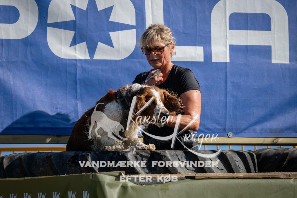 1009_ZZ97712 | kk-dogfotos