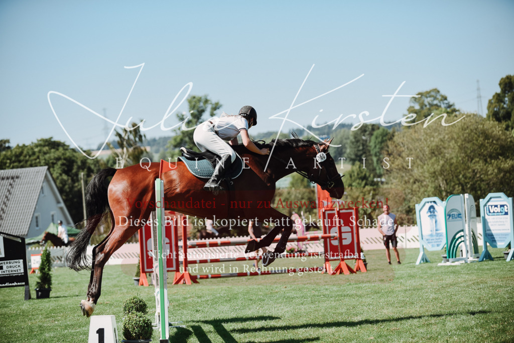 DSC_3073 | Pferde- und Turnierfotografie in Westsachsen. Pferdeportraits, Auftragszeichnungen und intuitive Kunst.
