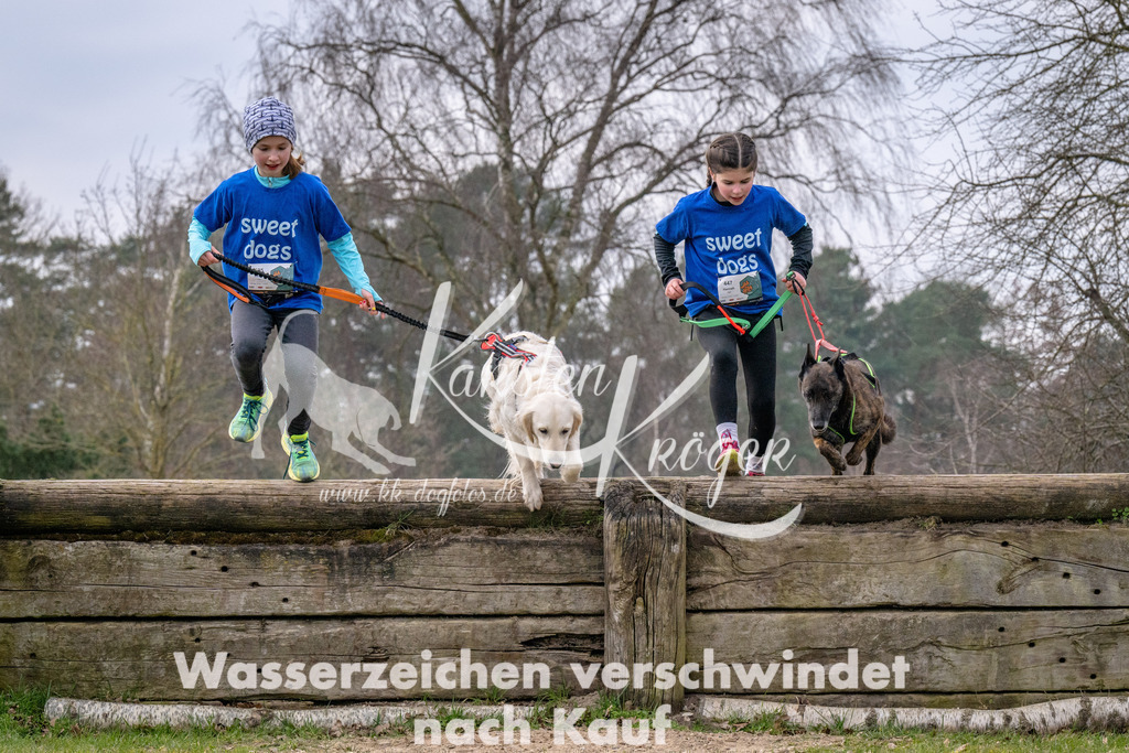 _ZZ91681 | kk-dogfotos