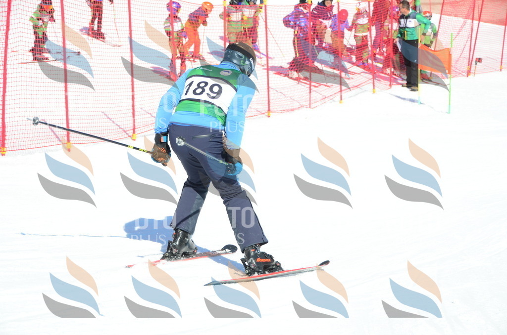 C6497 | holidayphoto