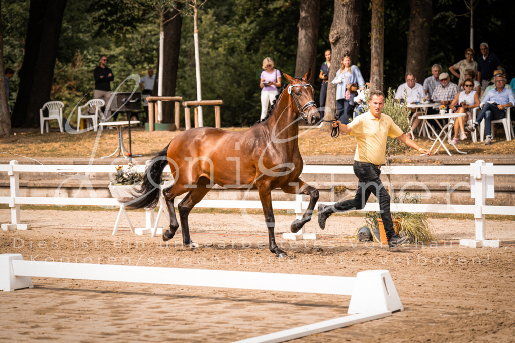 6.Fr00044 | Leoni Ertmer Photography - Realisiert mit Pictrs.com