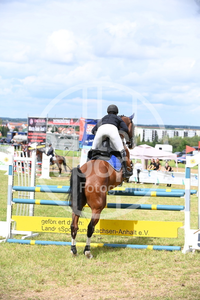 DSC_7017 | sattelsport - Realisiert mit Pictrs.com