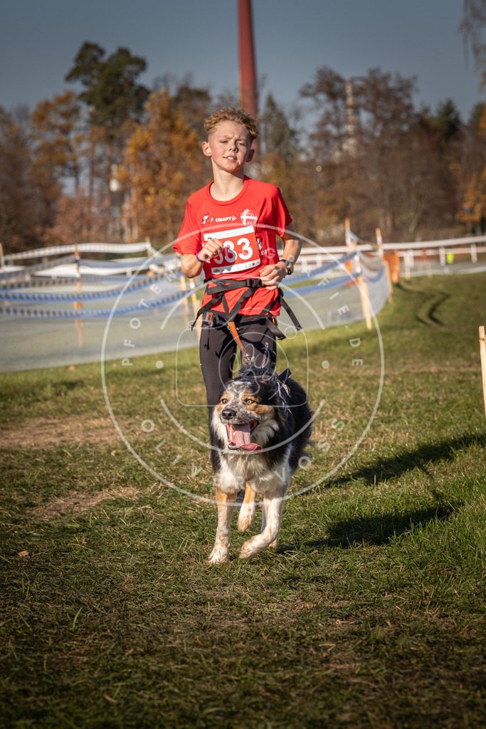 CaniXpix_0L8A7403 | Hundefotografie, Tierfotograf, Pfotenfotografie, Fotoshooting Hund, Hunde Portrait, Hundesport, Hundeportraits, Heideshooting, Hunde, Sportfotograf, Hundefotograf, Turnierhundsport, THS,  - Realisiert mit Pictrs.com