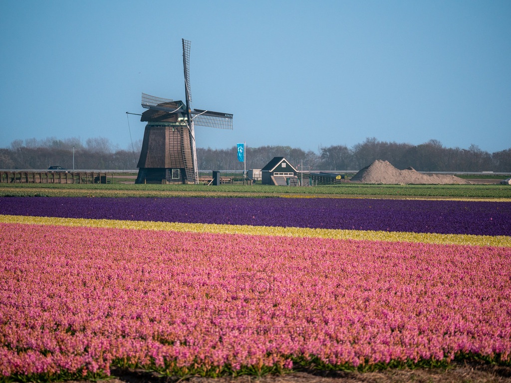 P1011369-LR | Natur im Moment - Realisiert mit Pictrs.com