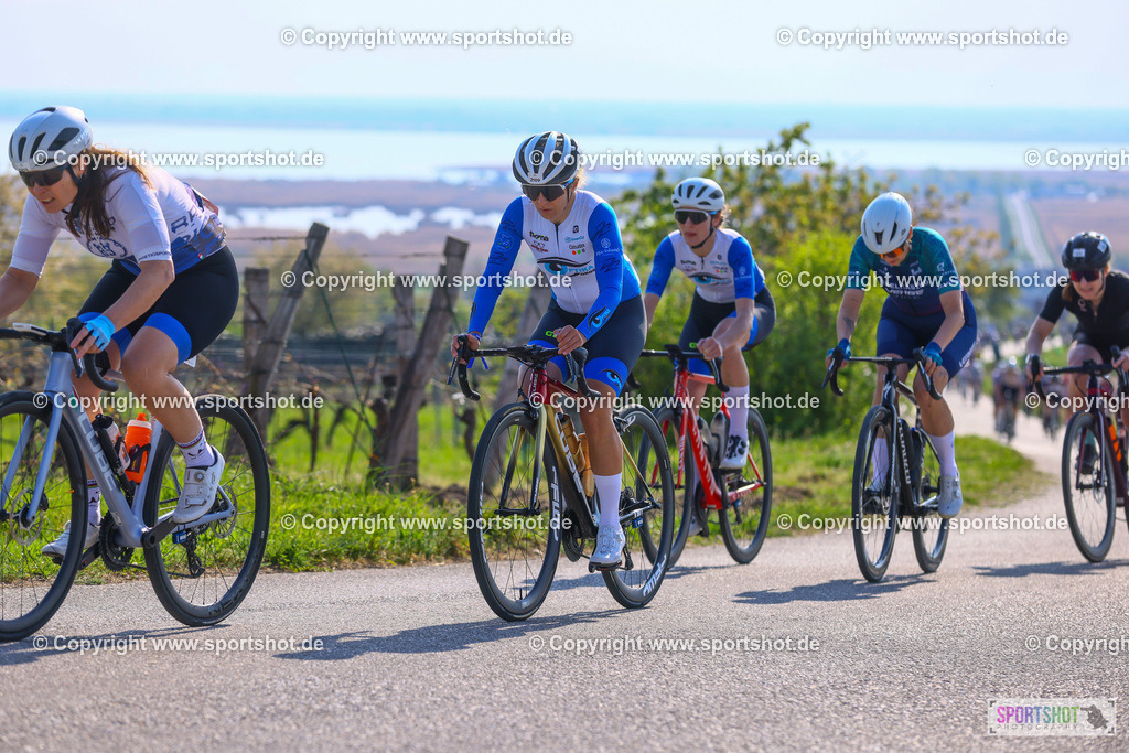 TRA_0258 | Neusiedlersee Radmarathon 2026@sportshot_your_pictrs #yourpictures#roadtowm2029 #nrm #neusiedlerseeradmarathon #neusiedlersee #neusiedlerseetourismus #burgenland #mörbisch #nrm26 #burgenlandtourismus #voglundco #poweredbyburgenlandtourismus #radsport #rad #marathon #ucigranfondo #visitburgenland #ucigranfondoworldseries