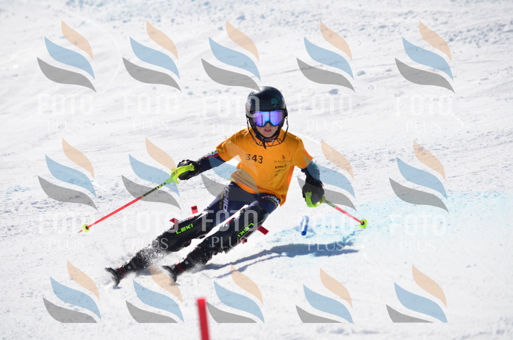 C9745 | holidayphoto