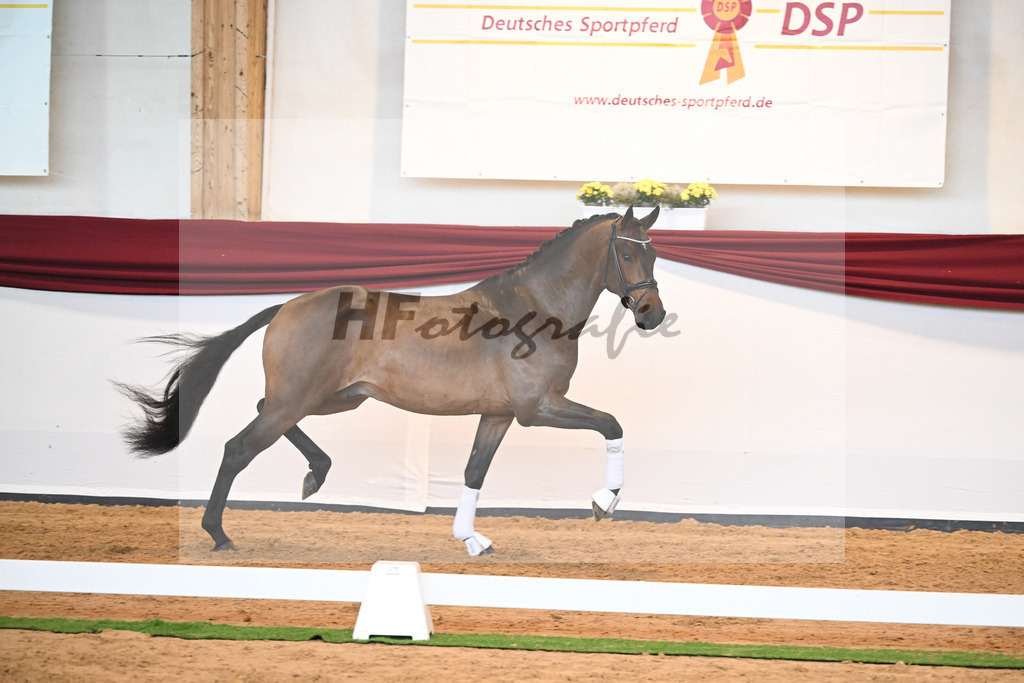 Kat-Nr. 39 v. Jovian_Dahlhoff_66221001 | hf-fotografie - Realisiert mit Pictrs.com