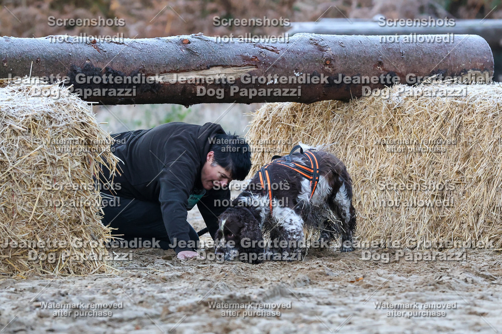 Dog Paparazzi - Strongdog 10-25-149 | Dog Paparazzi Jeanette Grottendiek Fotografie & Videografie - Realisiert mit Pictrs.com