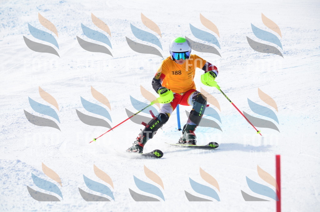 C8779 | holidayphoto