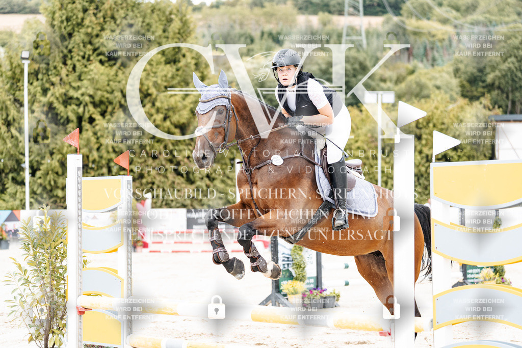 CK908020 | Turnierfotografie Pferdefotografie Trier Rheinland-Pfalz Pferdesport Reitsport Tierfotografie Sportfotografie Pferdevideo Pferdevideografie Equestrianvideography equestrianphotography  - Realisiert mit Pictrs.com