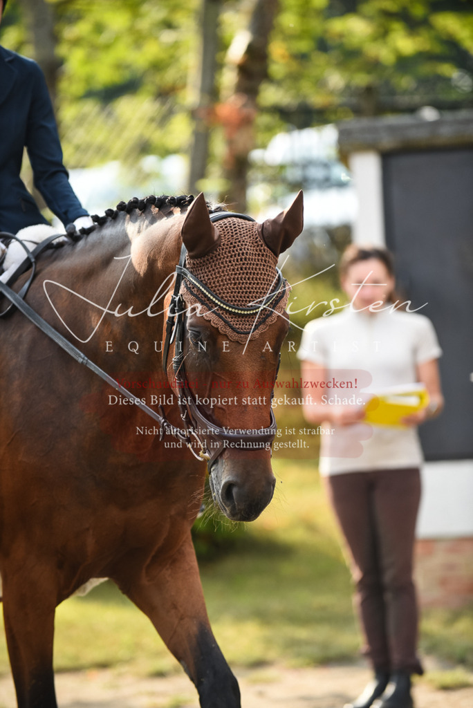 DSC_3321 | Pferde- und Turnierfotografie in Westsachsen. Pferdeportraits, Auftragszeichnungen und intuitive Kunst.