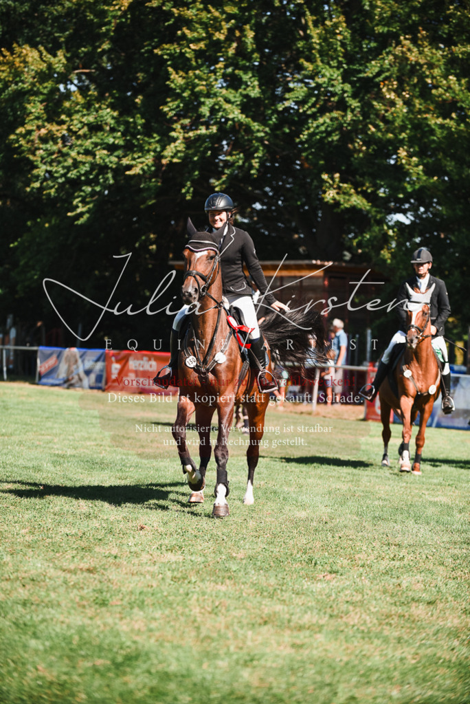 DSC_2647 | Pferde- und Turnierfotografie in Westsachsen. Pferdeportraits, Auftragszeichnungen und intuitive Kunst.