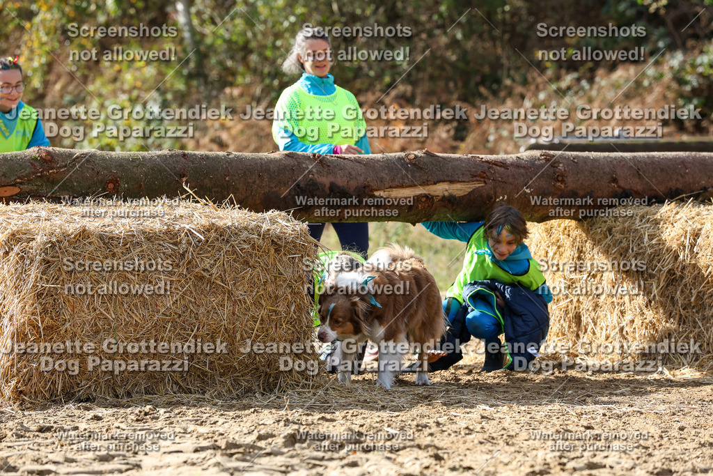 Dog Paparazzi - Strongdog 10-25-5581 | Dog Paparazzi Jeanette Grottendiek Fotografie & Videografie - Realisiert mit Pictrs.com