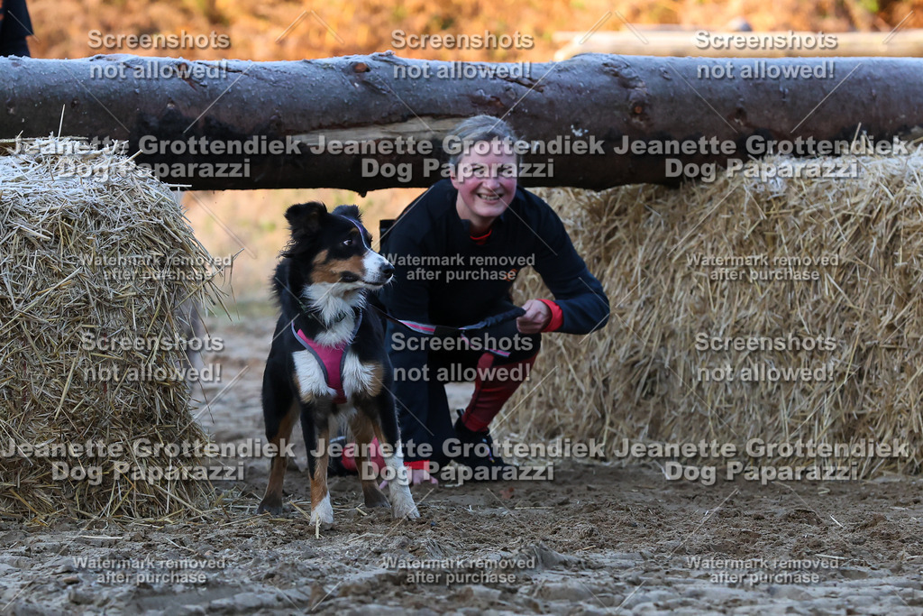 Dog Paparazzi - Strongdog 10-25-417 | Dog Paparazzi Jeanette Grottendiek Fotografie & Videografie - Realisiert mit Pictrs.com