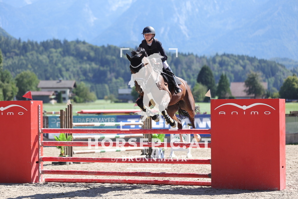 0P6A6354 | Willkommen bei Brunnmayr - Design & Fotografie – Ihrem Spezialisten für Reitturniere und Pferdeveranstaltungen in Oberösterreich, Salzburg und Bayern! Seit über 17 Jahren sind wir leidenschaftlich dabei.