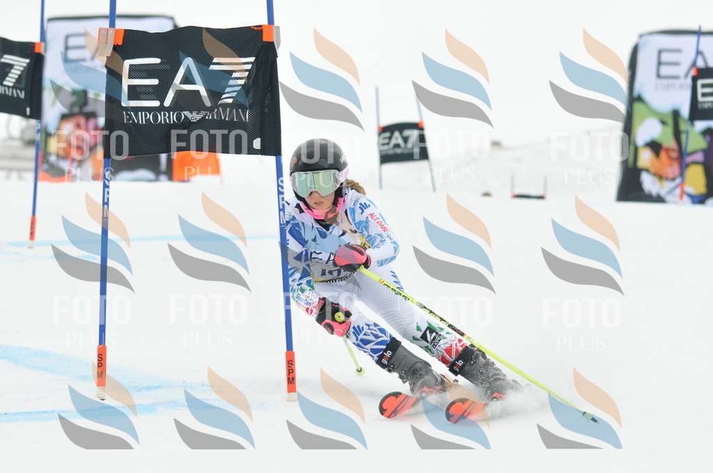 DSC_8119 | holidayphoto