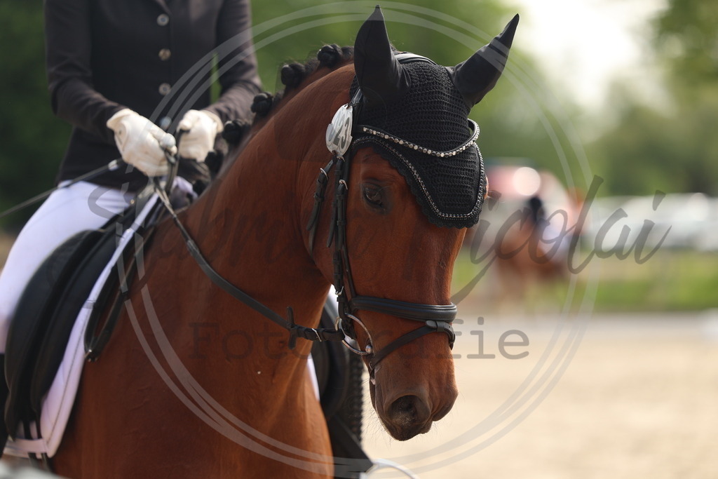 994A6459 | sabrinanicolaifotografie - Realisiert mit Pictrs.com