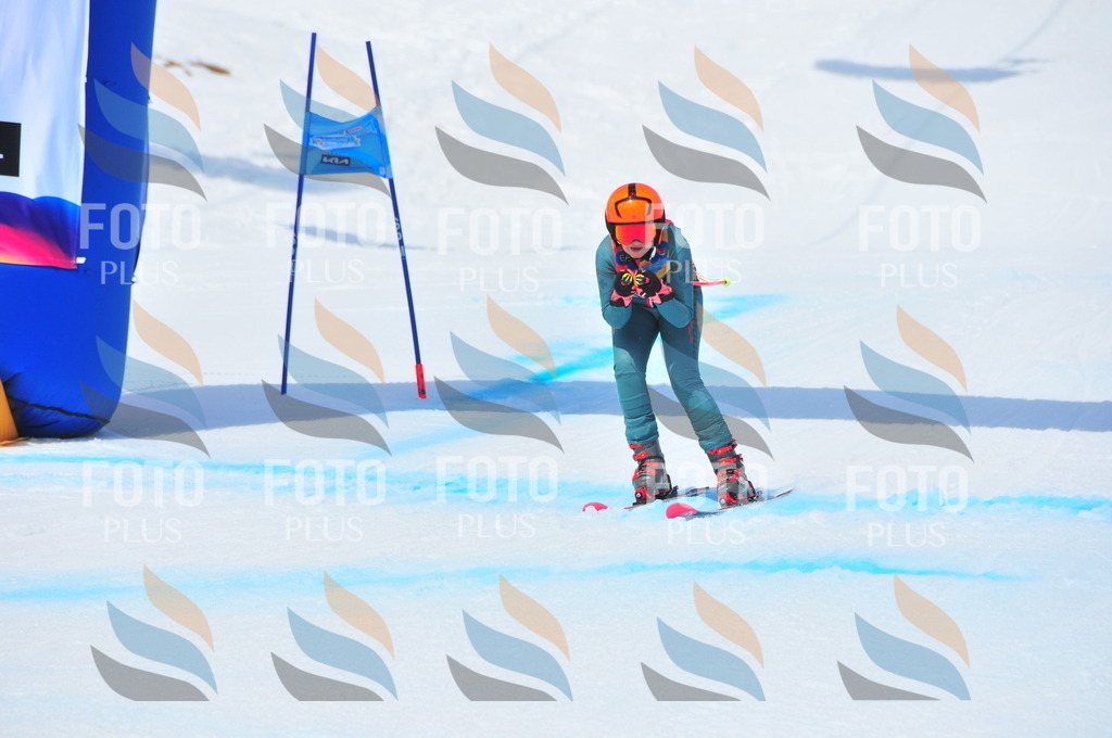 DSC_7018 | holidayphoto