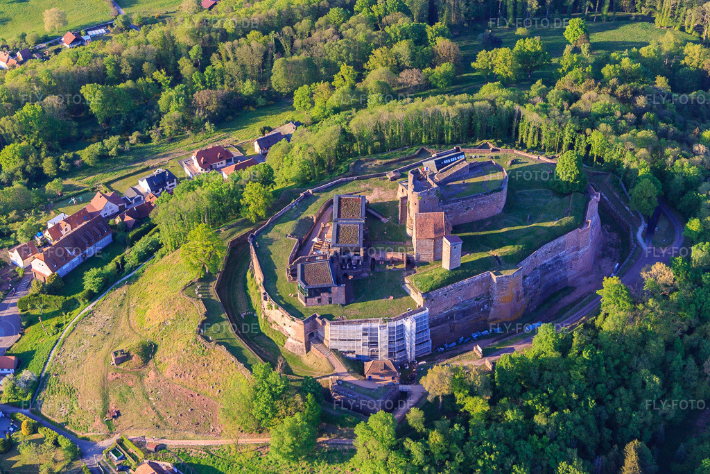Luftbild: château de Lichtenberg aus Süden in Lichtenberg im Bundesland Bas-Rhin in Frankreich. – Foto: IMG_145817.jpg vom 30.04.2025 durch Werner Riehm/FLY-FOTO.de – Auflösung des Originals: 4656 x 3104 px – Visiter le château de Lichtenberg dans les Vosges du Nord - Alsace