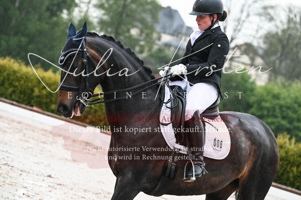 DSC_4703 | Pferde- und Turnierfotografie in Westsachsen. Pferdeportraits, Auftragszeichnungen und intuitive Kunst.