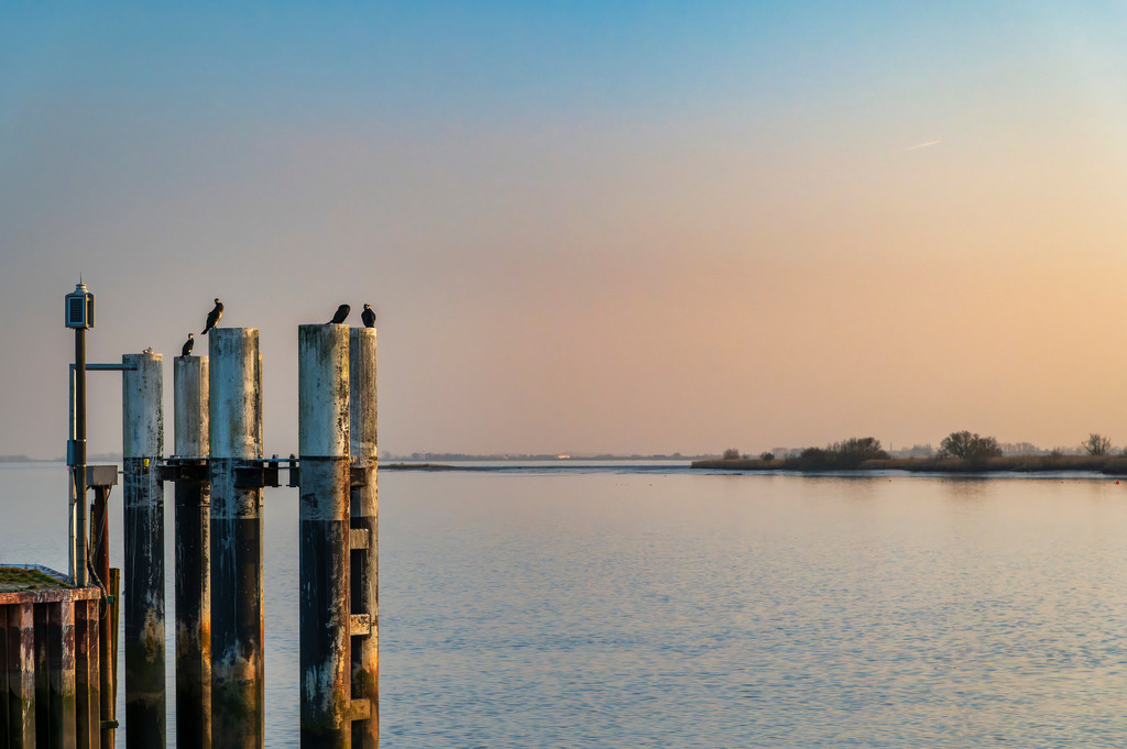 2025_02_23_GLUECKSTADT_MCP6053 | Hochwertig gedruckte Fotografien für die Wand, als Kalender und zum Verschenken. Hamburg & Norddeutschland und überall wo ich mit der Kamera unterwegs war.
