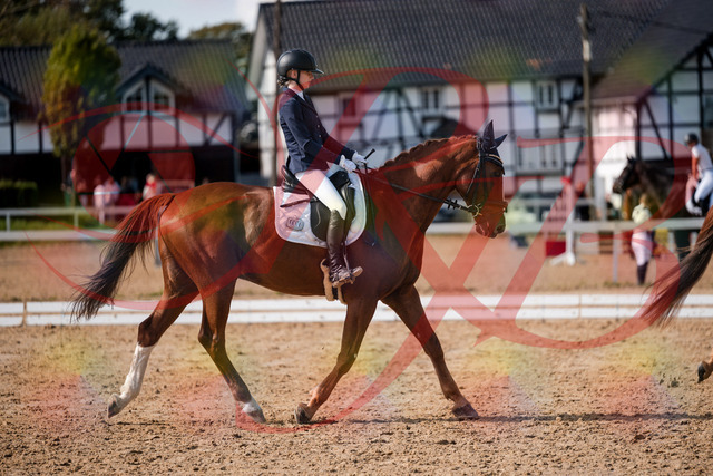 2026_10_03_Siefer-Hof_132759_Z63_87591015 | Professionelle Reitsport-, Turnier- und Eventfotografie von Robert Broda. Galerien mit ausgewählten und bearbeiteten Bildern direkt online ansehen und bestellen.