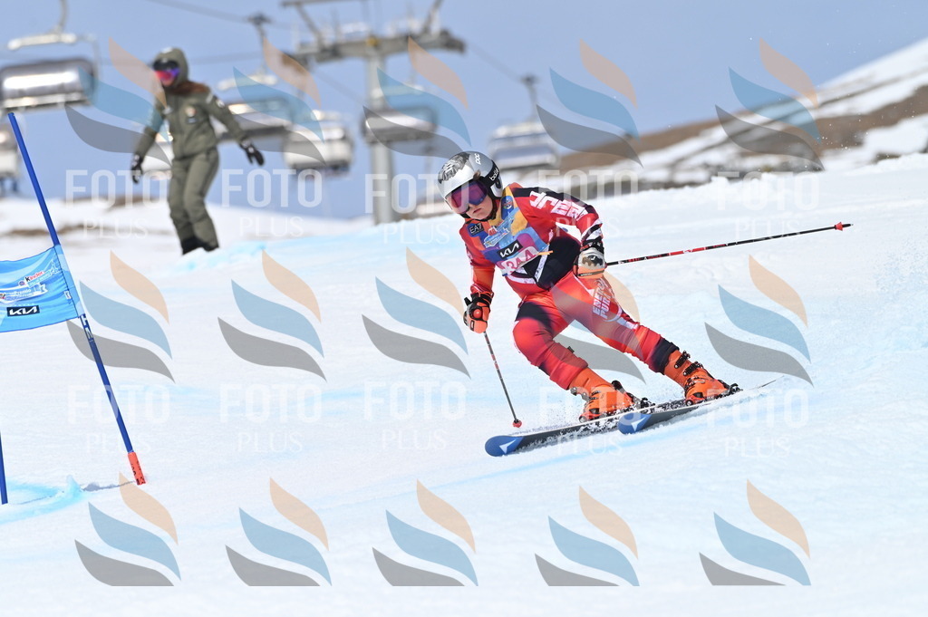 BGV_3524 | holidayphoto