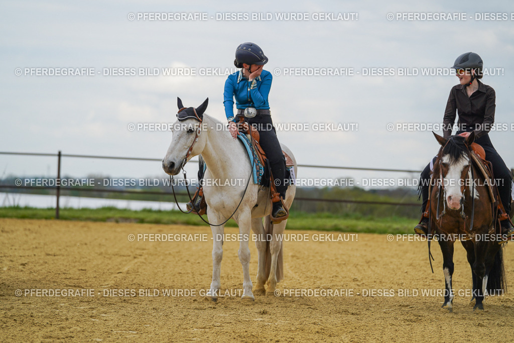 DSC06755 | Pferdegrafie