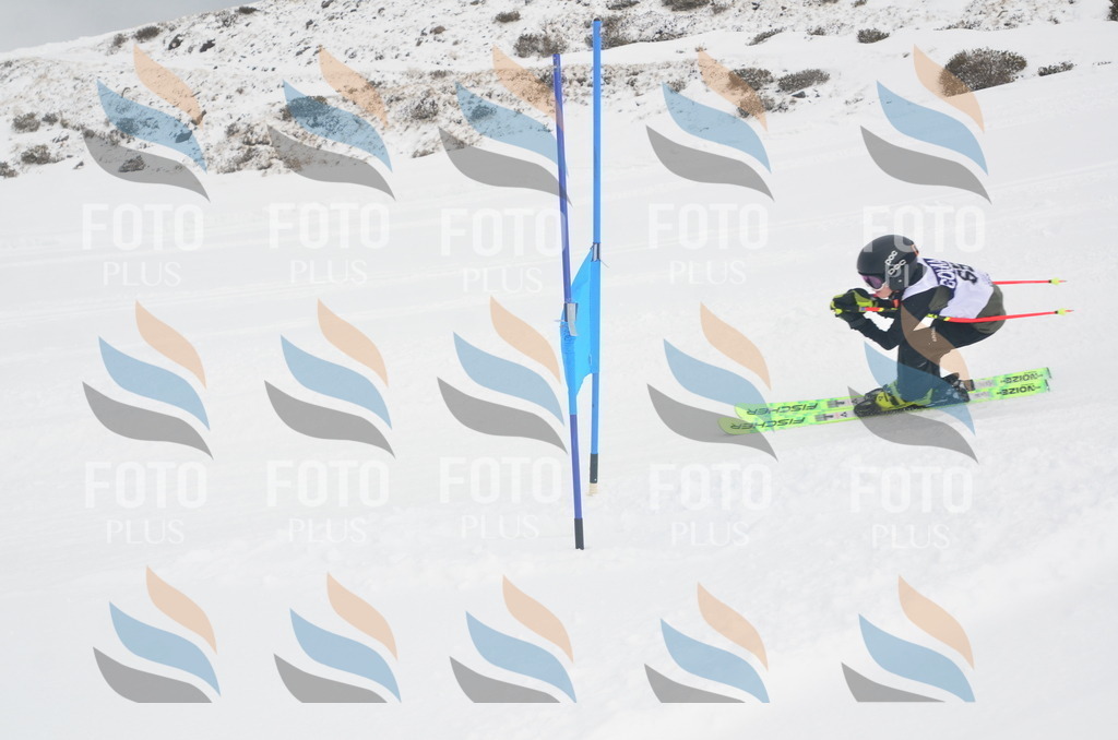 A5537 | holidayphoto